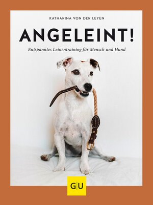 cover image of Angeleint!